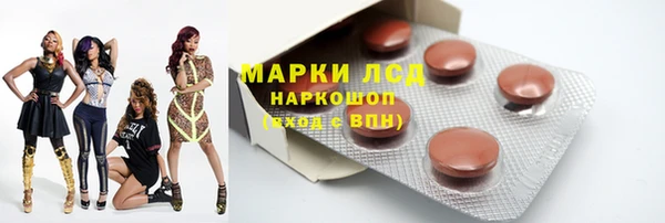 спайс Богданович