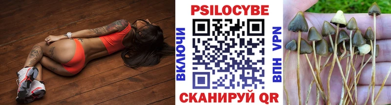 где купить   Дубна  Галлюциногенные грибы Cubensis 